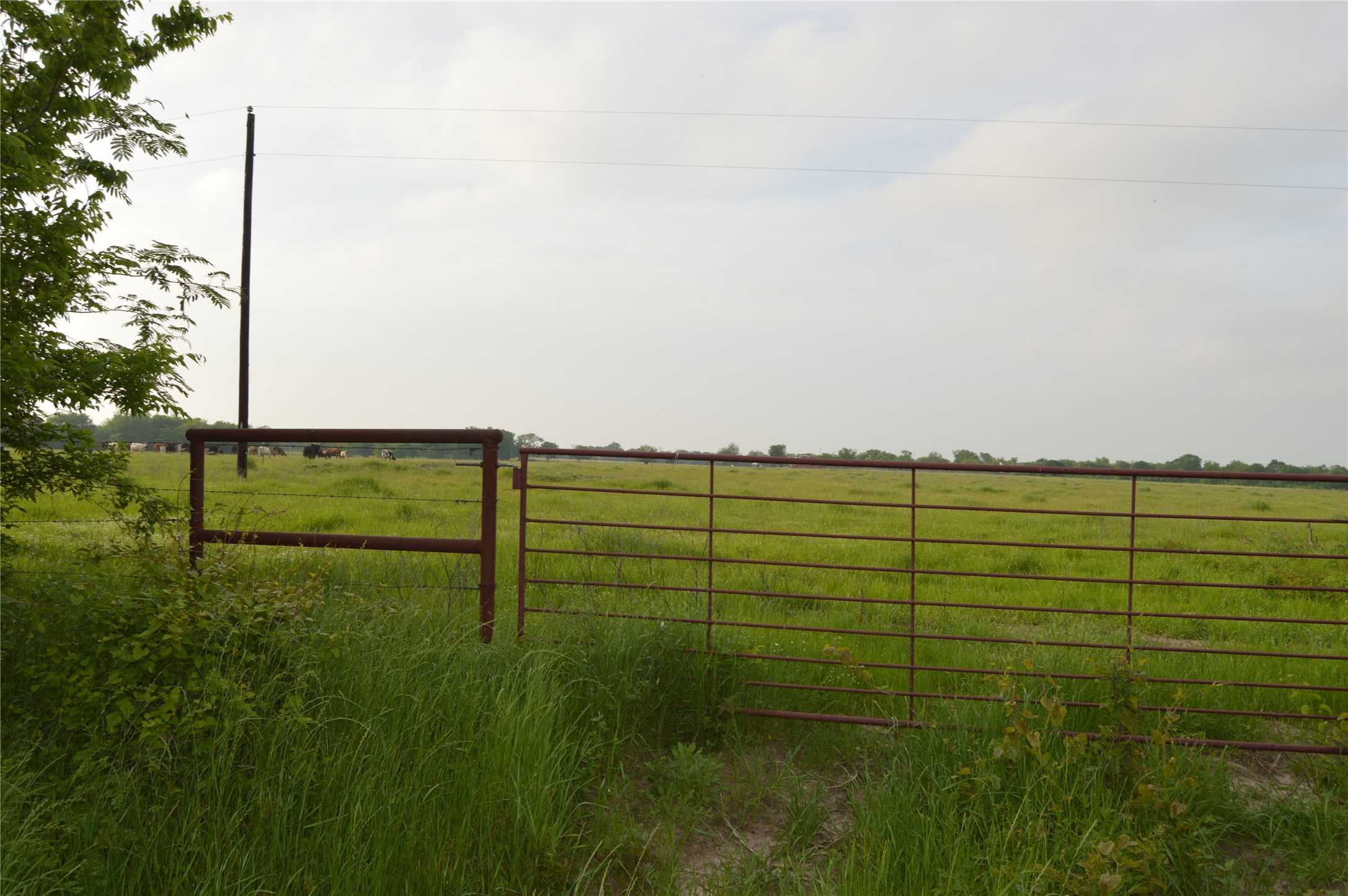 photo 3: TBD Lot 1 Rs County Road 1520, Point TX 75472