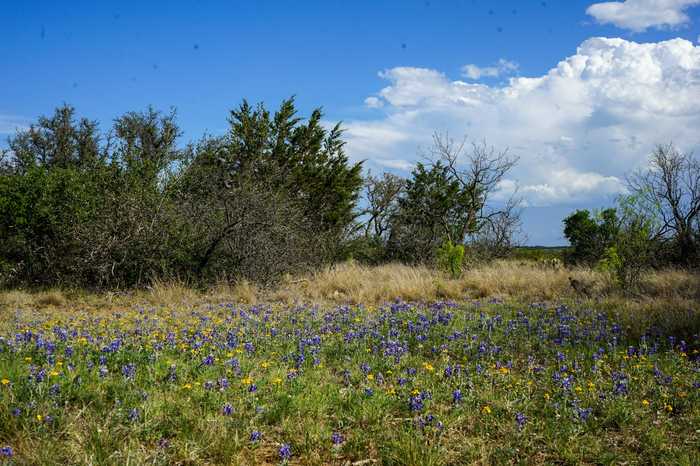 photo 1: TBD 2050 W 17th St, Brady TX 76825