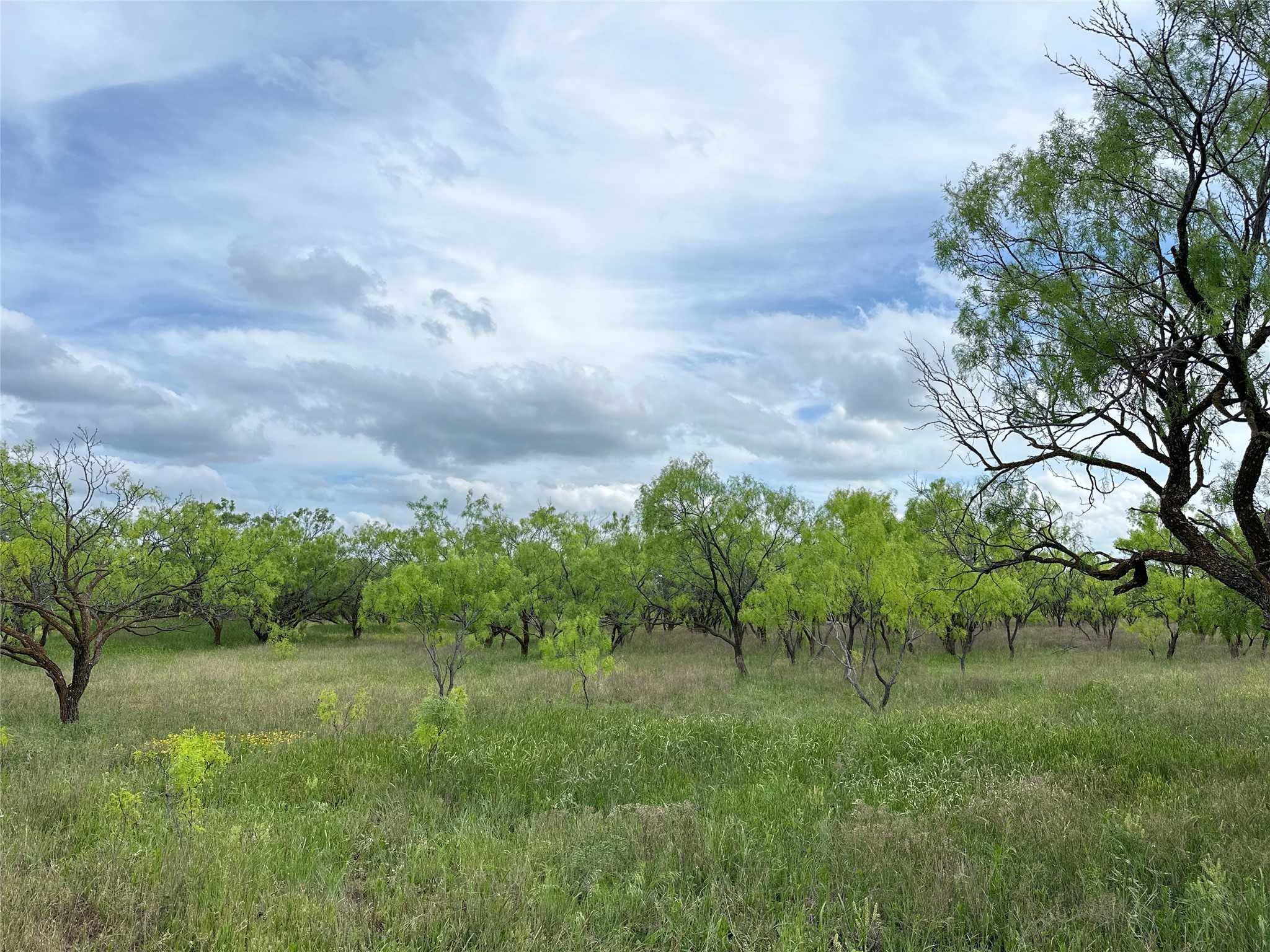 photo 2: TBD County RD 100, Abilene TX 79601