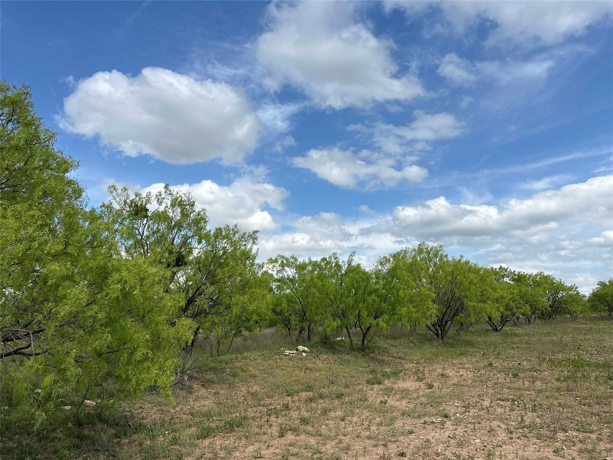 photo 3: TBD County RD 100, Abilene TX 79601