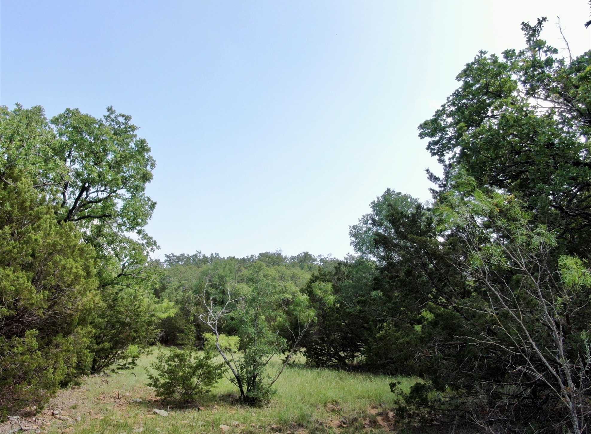 photo 3: TBD Finis Road, Graham TX 76450