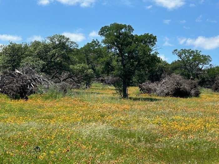 photo 38: CR424 County Road, San Saba TX 76877