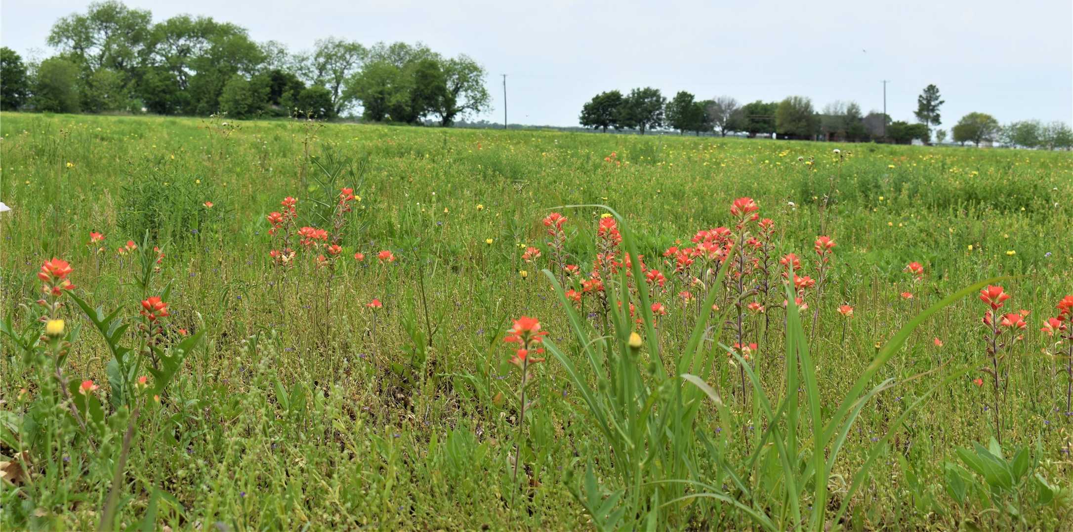 photo 3: 8308 County Road 205, Grandview TX 76050