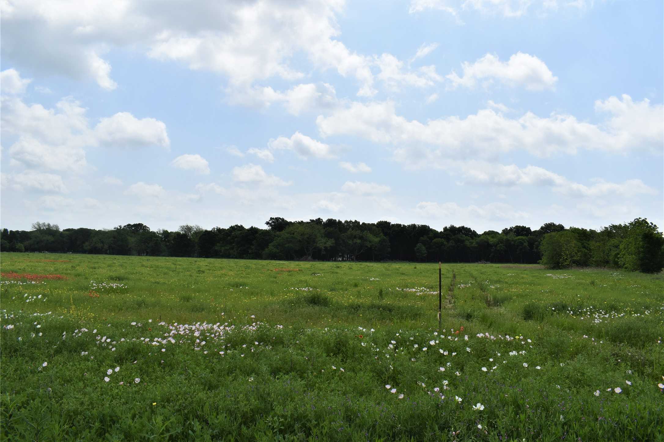 photo 3: 8324 County Road 205, Grandview TX 76050