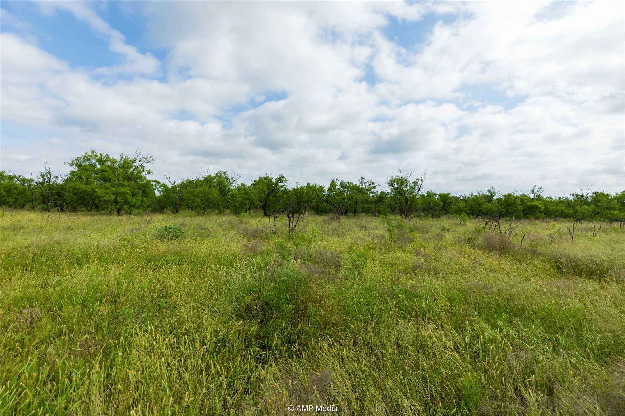 photo 3: TBD CR 234, No City TX 79520