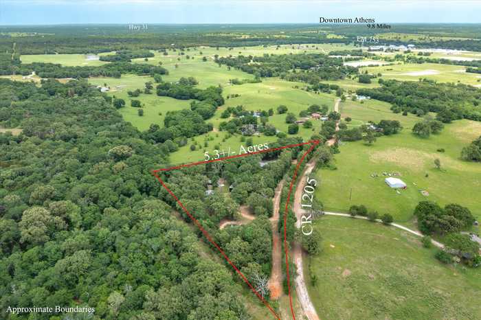 photo 40: 10500 County Road 1205, Athens TX 75751