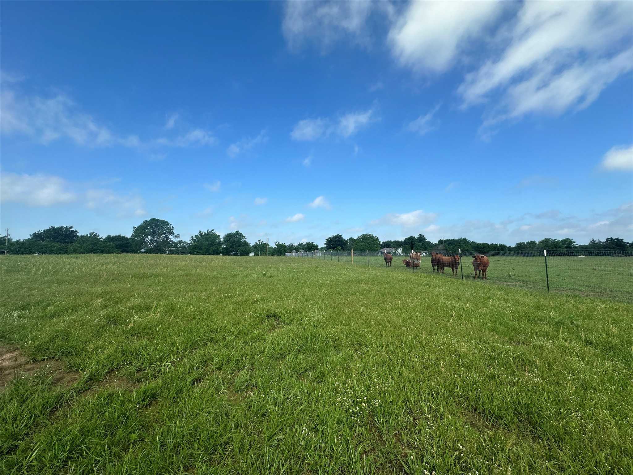 photo 3: Lot 3 - 10AC Rs County Road 4330, Point TX 75472