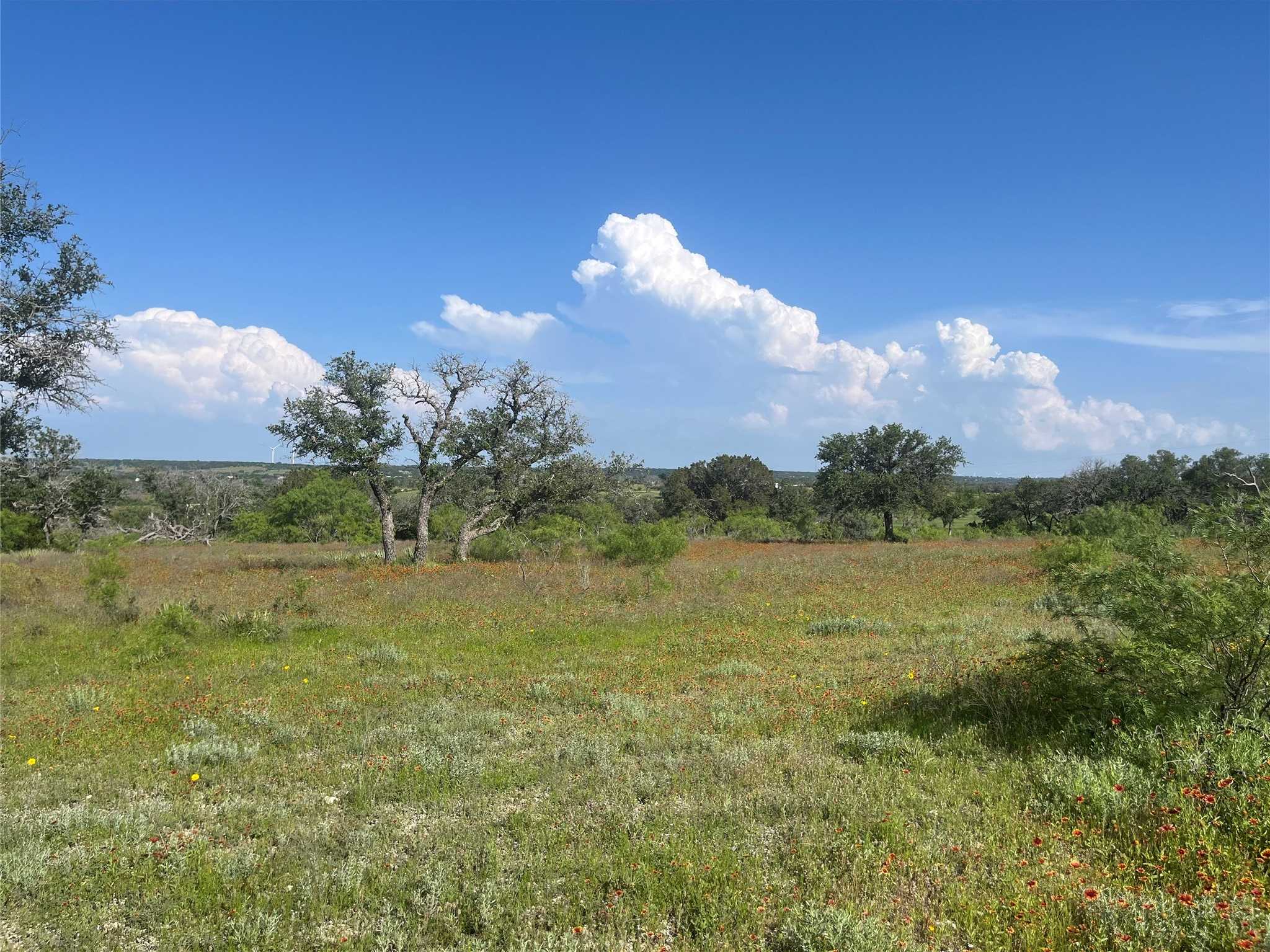 photo 3: 24 County Road 510, Goldthwaite TX 76844