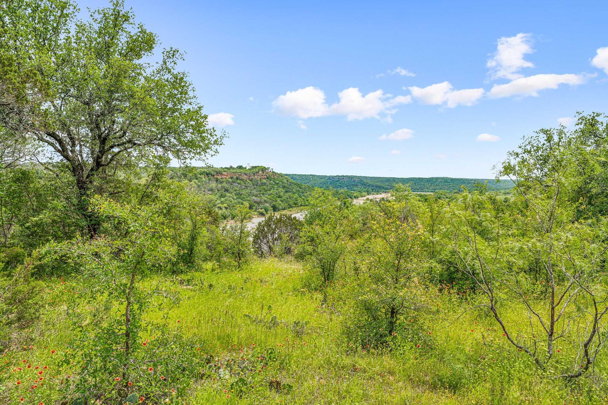 photo 3: Tract 2 TBD Village Bend Road, Mineral Wells TX 76067