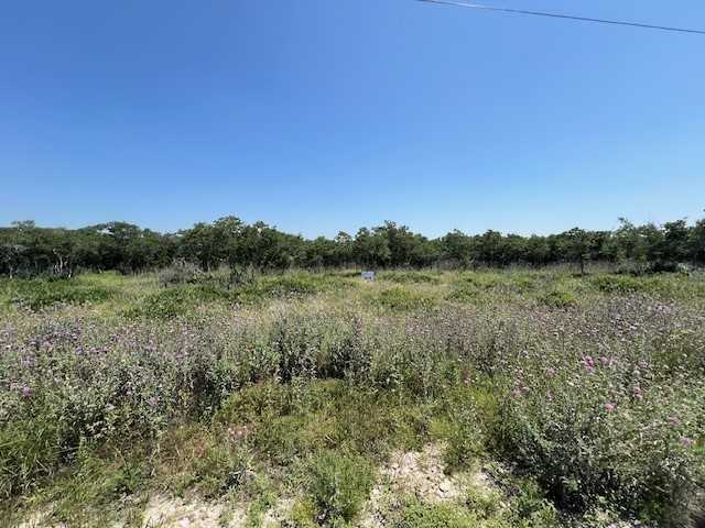 photo 1: 130 County Road 242, Goldthwaite TX 76531