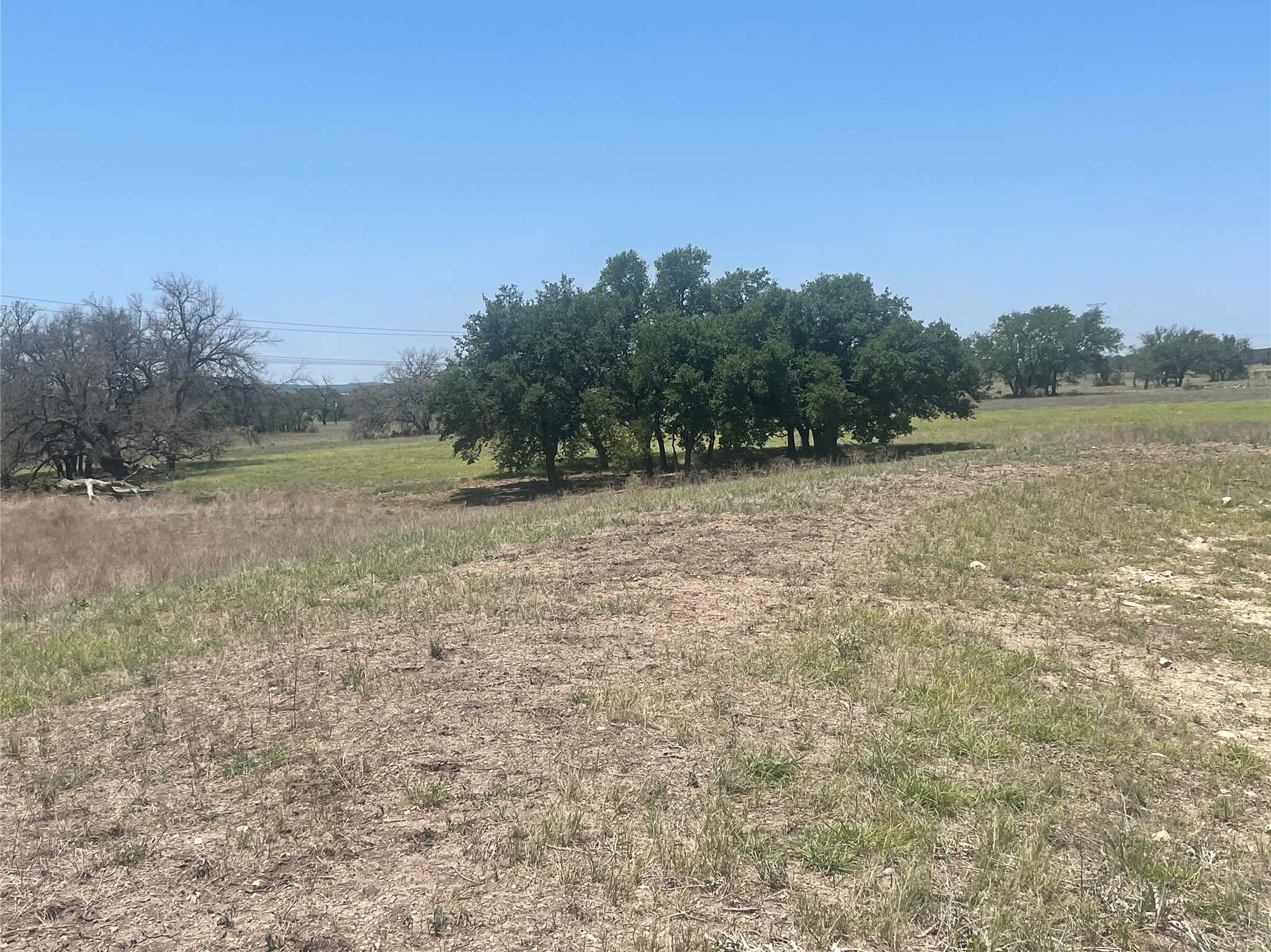 photo 2: TBD County Road 338, Goldthwaite TX 76844