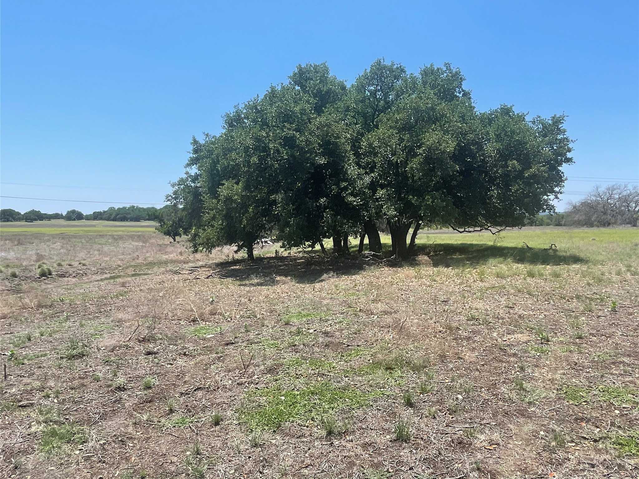 photo 3: TBD County Road 338, Goldthwaite TX 76844