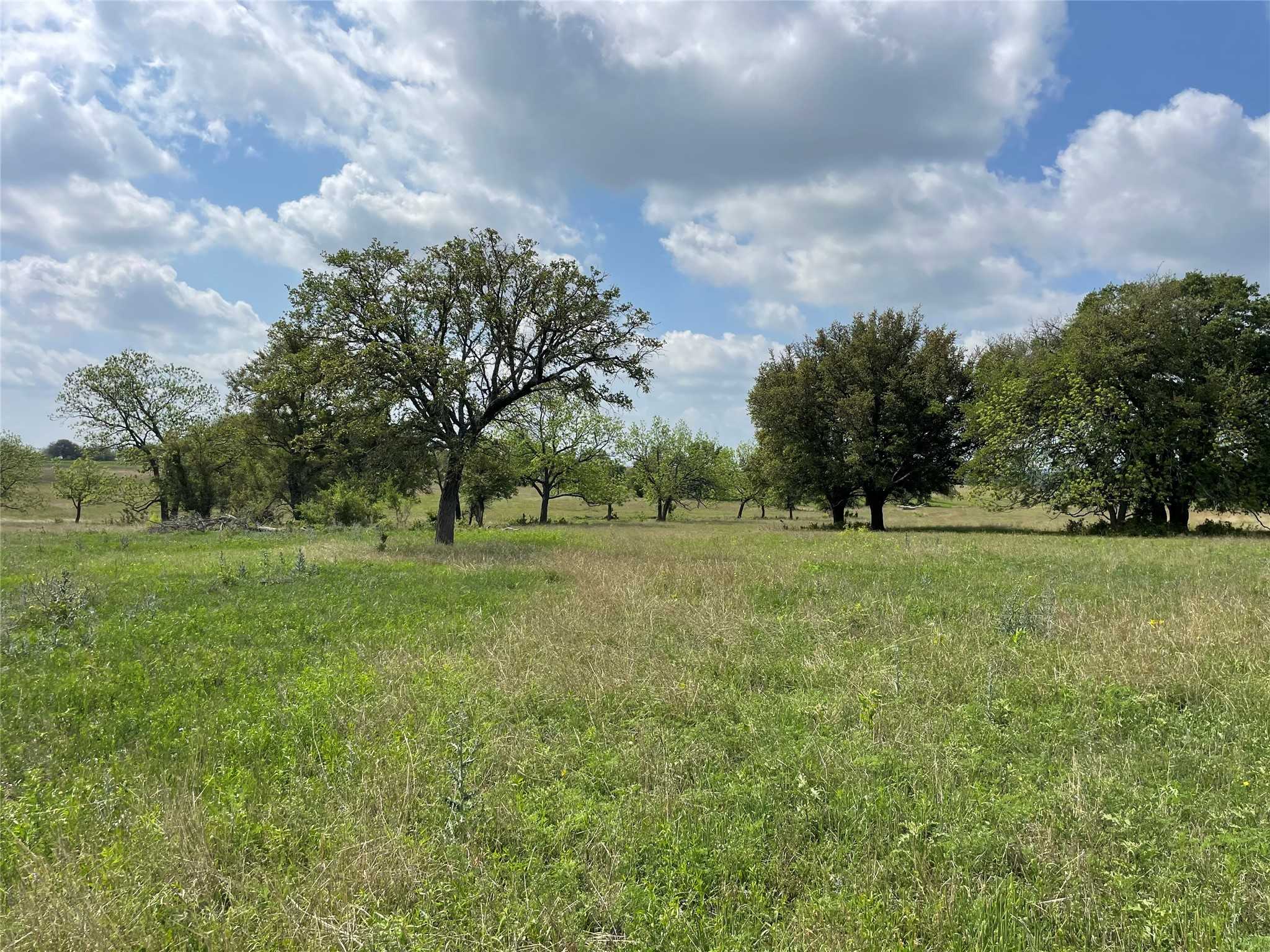 photo 1: 1521 FM 572, Goldthwaite TX 76844