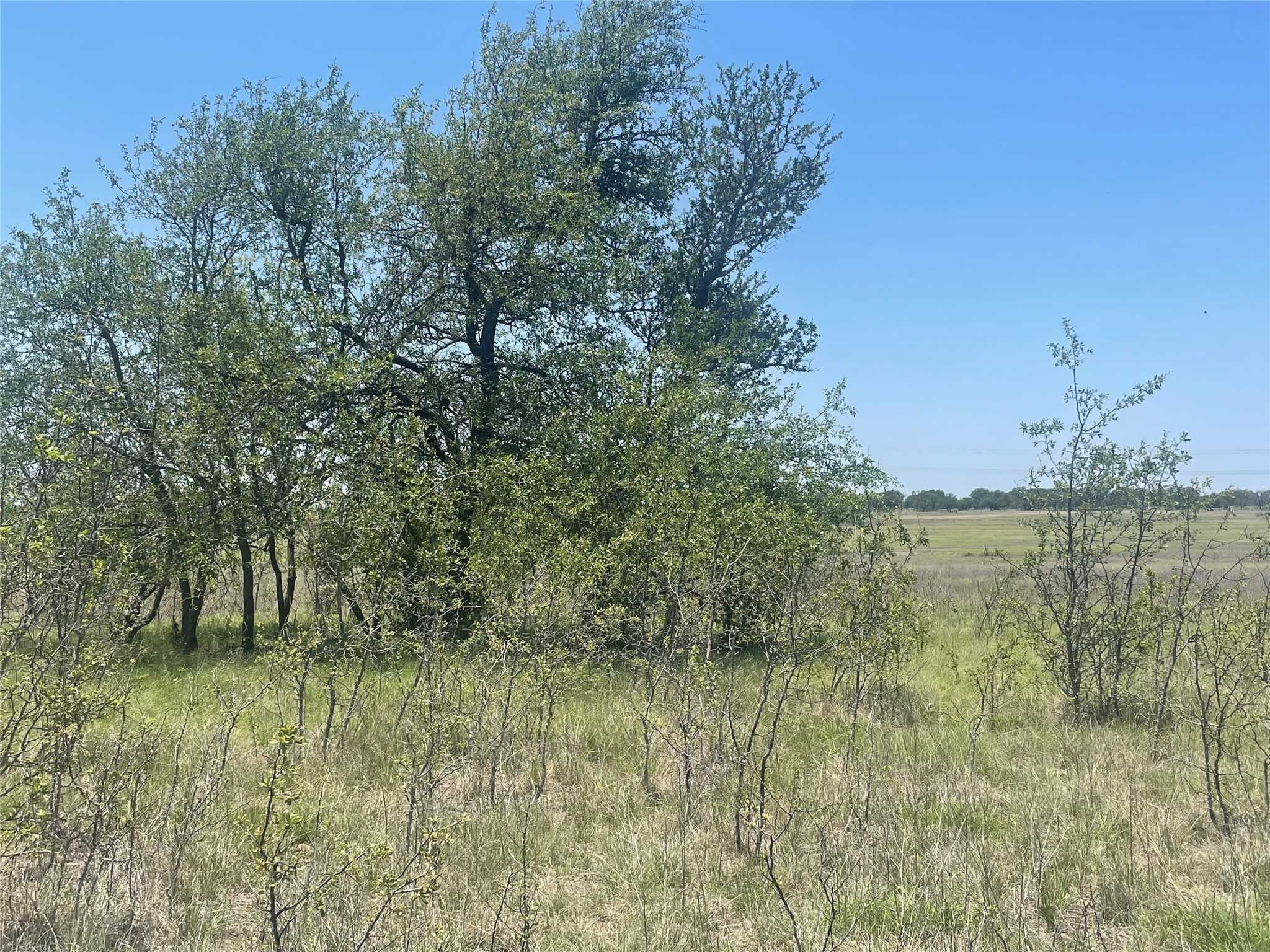 photo 1: TBD CR 338, Goldthwaite TX 76844