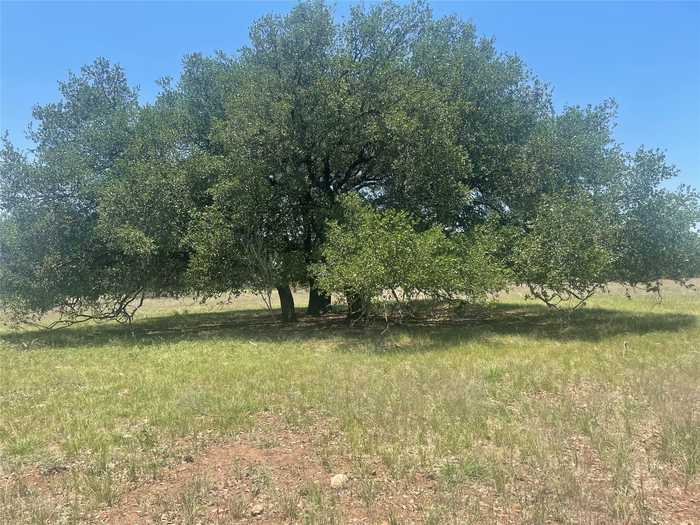 photo 2: TBD Road 338, Goldthwaite TX 76844