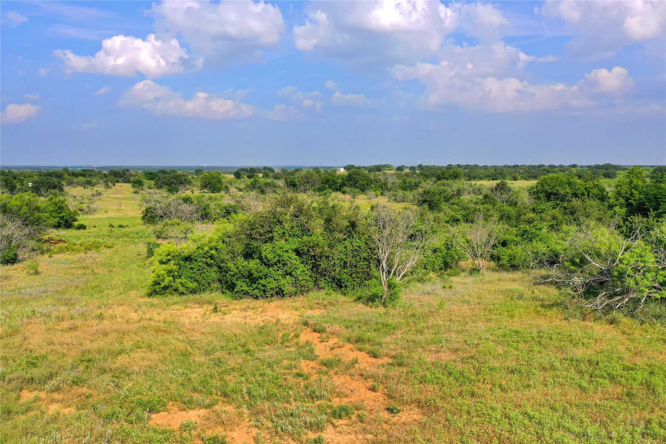 photo 3: 10.04 Acres Lester Rd, Jacksboro TX 76458