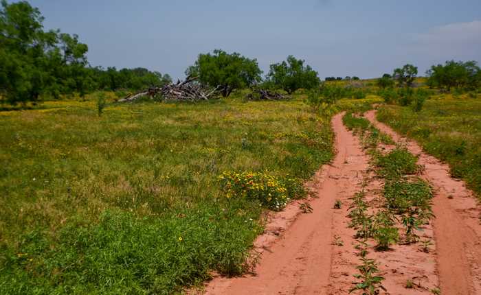 photo 26: CR 228, Sweetwater TX 79556