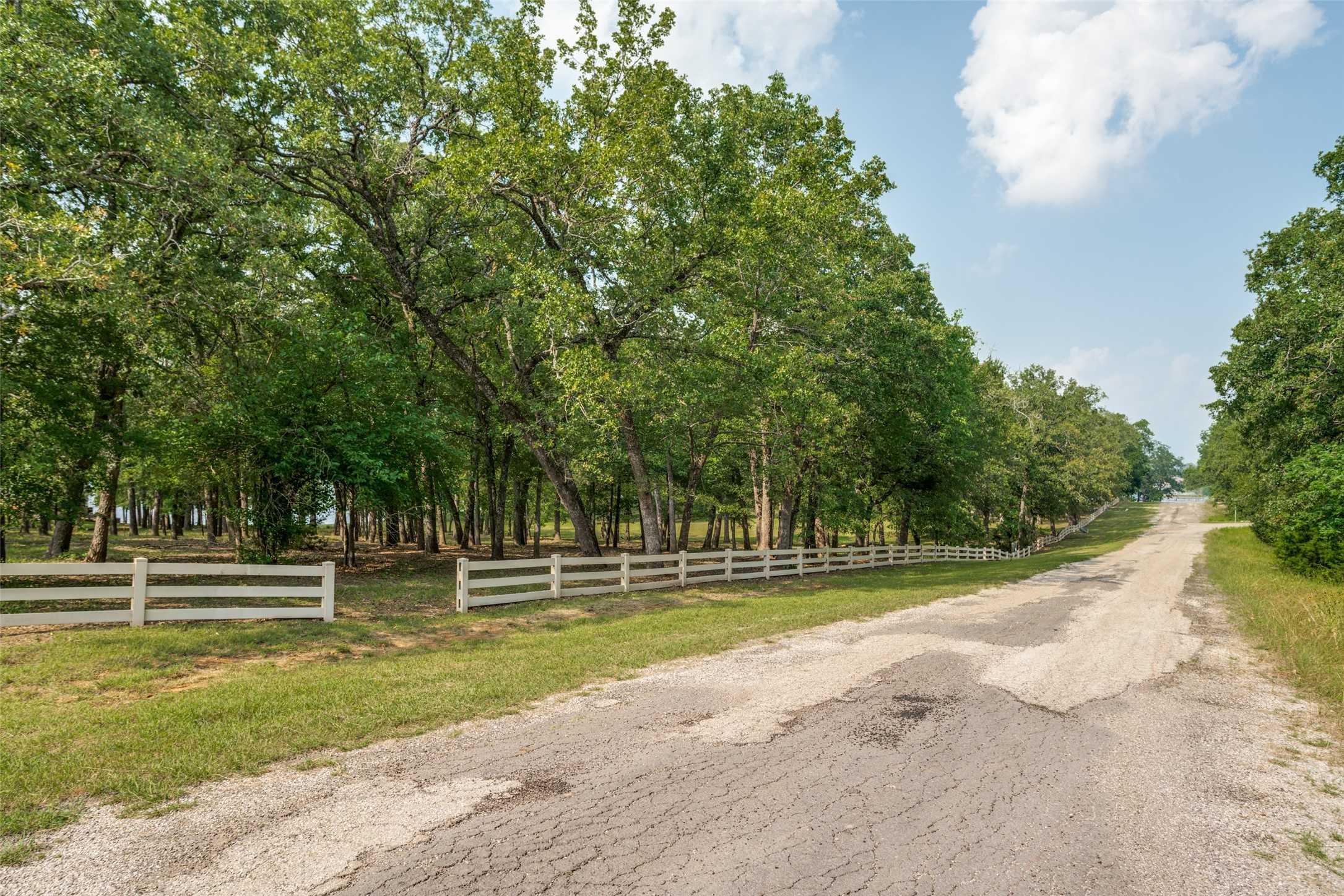 photo 3: Lot 3 SE CR 2359, Streetman TX 75859