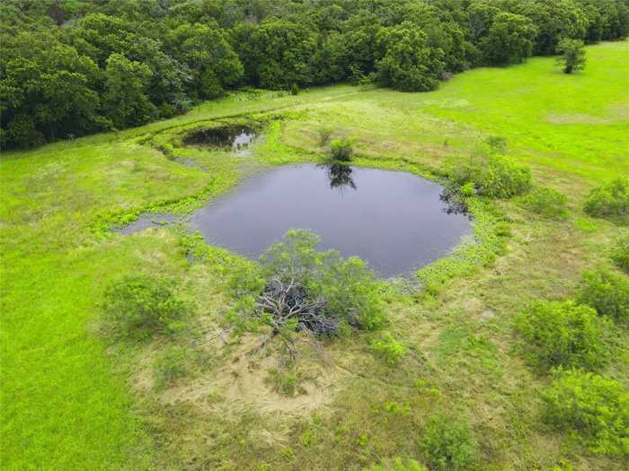 photo 31: TBD 26.381 Acres SE County Road 4250, Kerens TX 75144