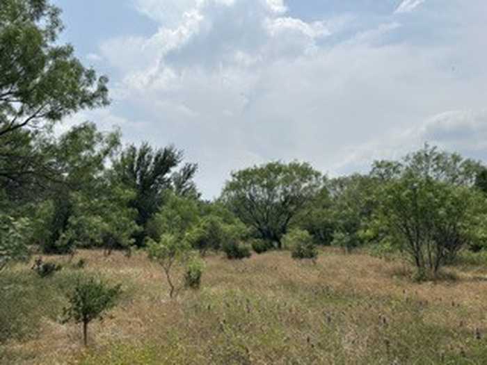 photo 1: TBD County Road 203, Santa Anna TX 76823