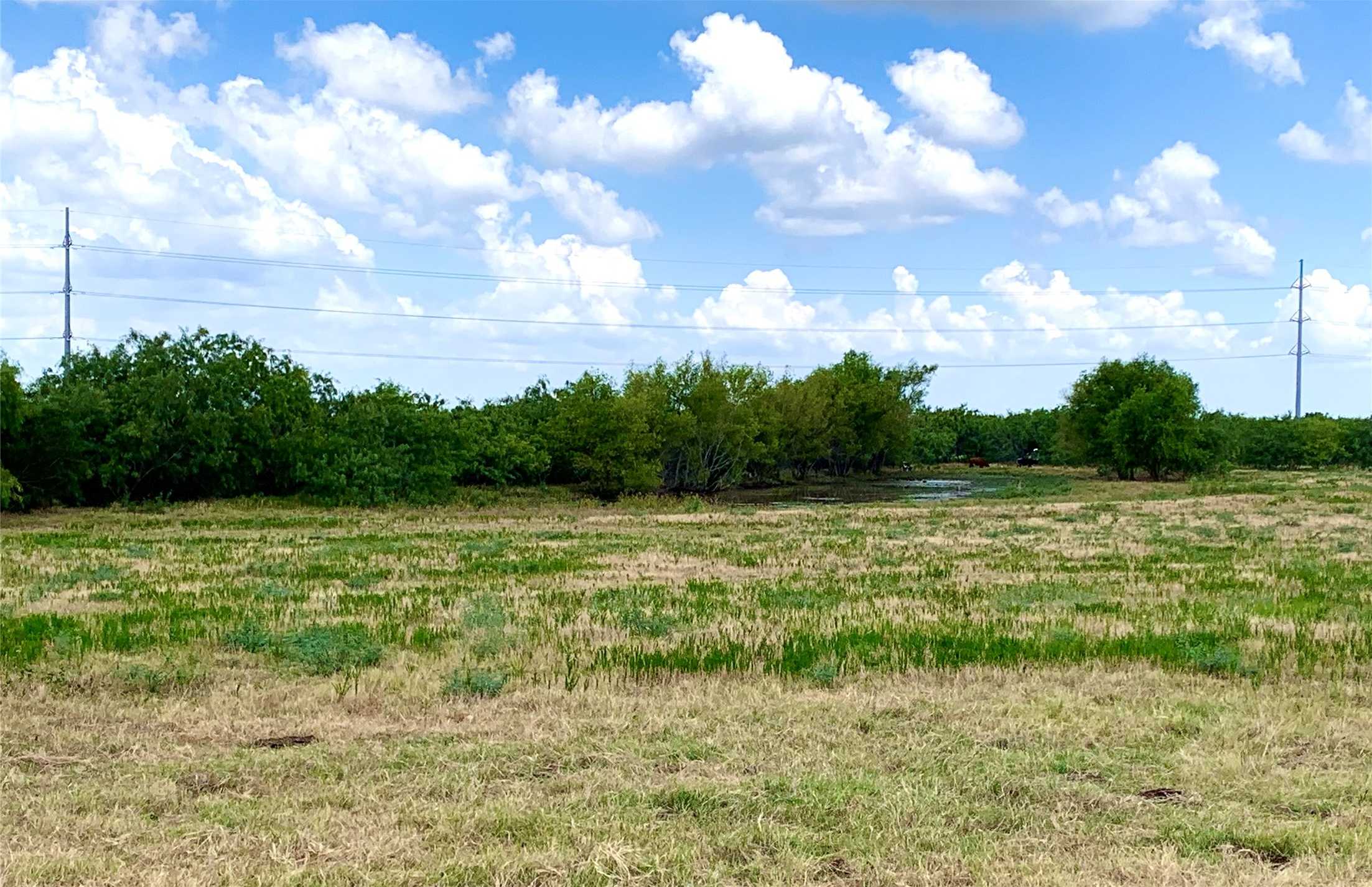 photo 1: TBD Quail Lane, Terrell TX 75160