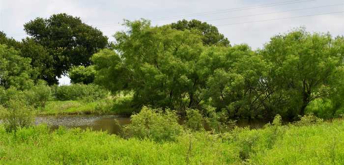 photo 1: 500 N Us Highway 283, Brady TX 76825