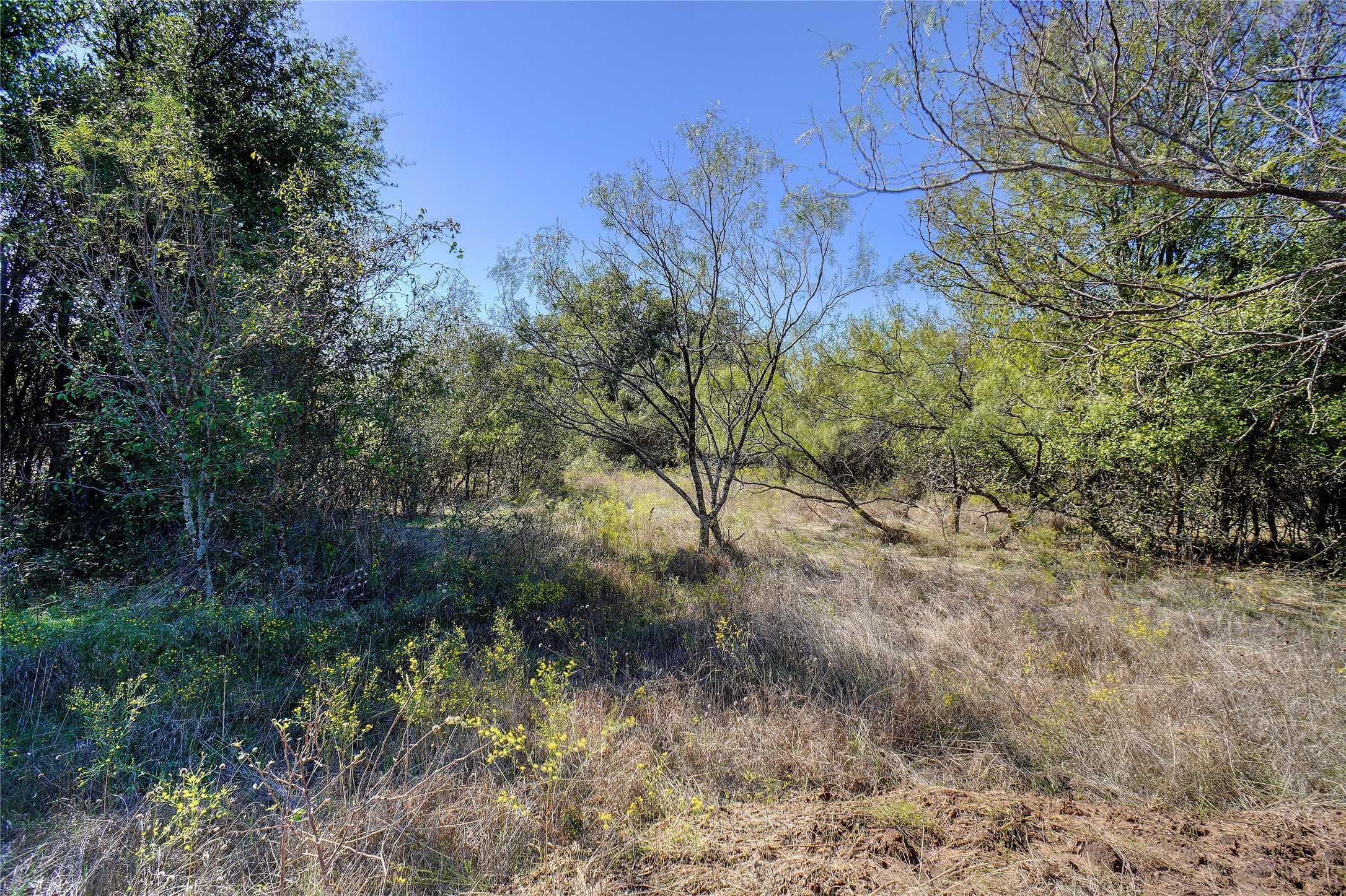 photo 3: 3707 Bob White, Granbury TX 76049