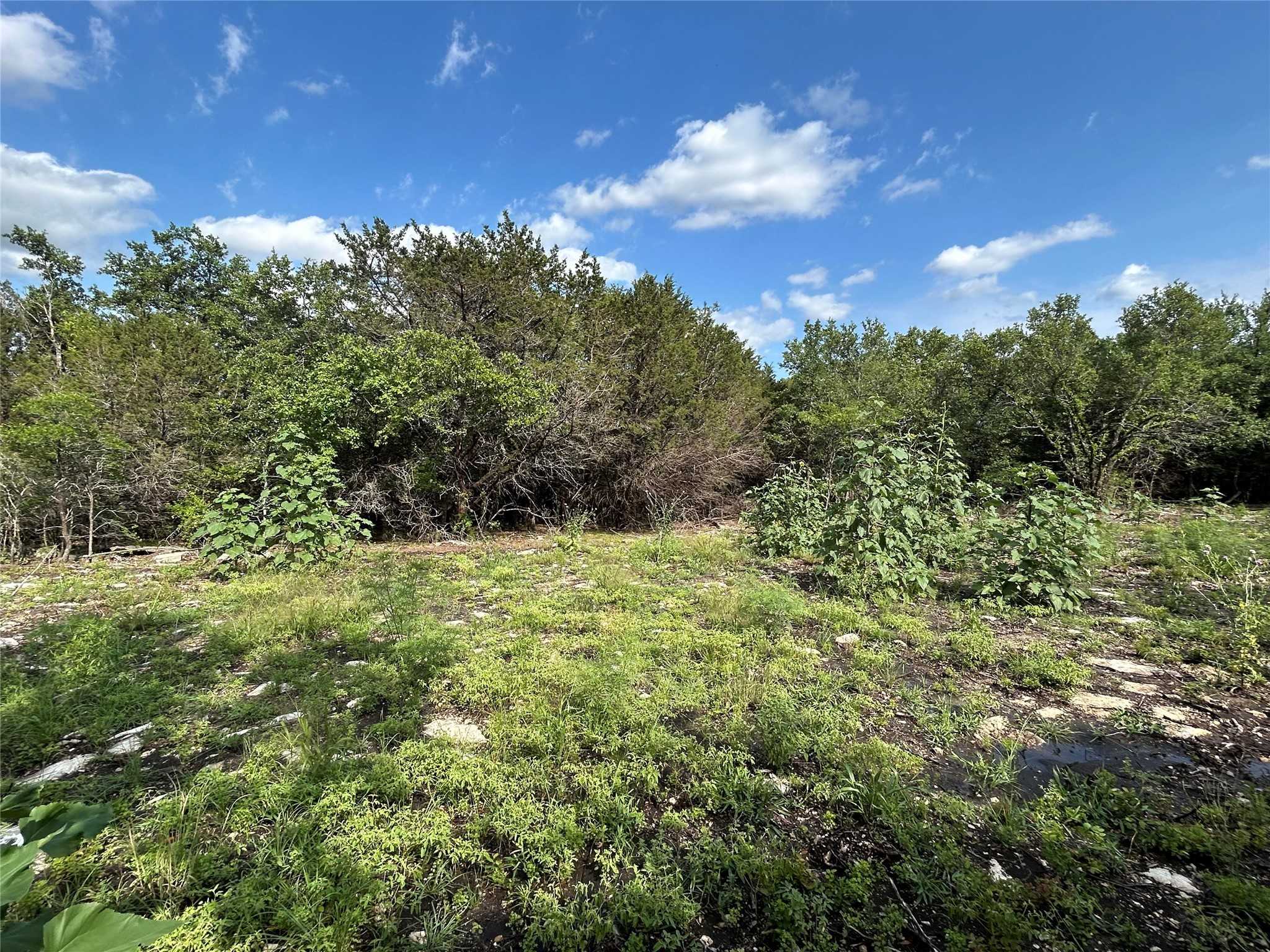 photo 3: TBD Beacon Lake Drive, Bluff Dale TX 76433