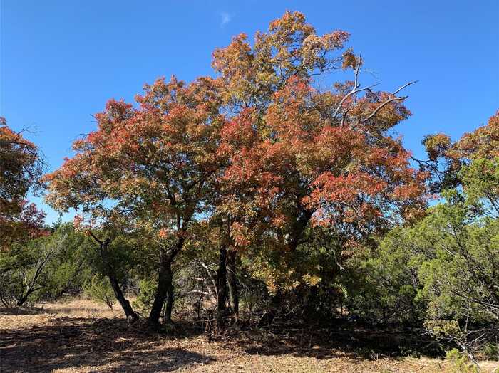 photo 2: 21.576 Acres FM 89, Tuscola TX 79562