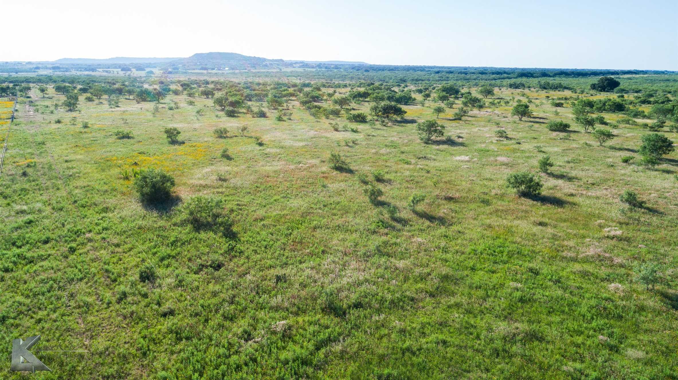 photo 3: TBD County Road 202 County Road 202, Clyde TX 79510