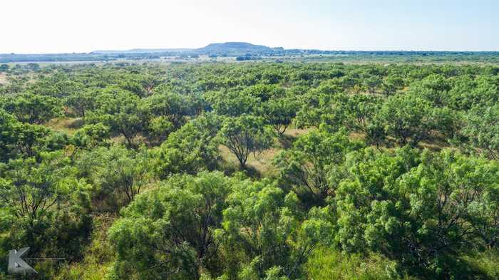 photo 38: TBD County Road 202 County Road 202, Clyde TX 79510