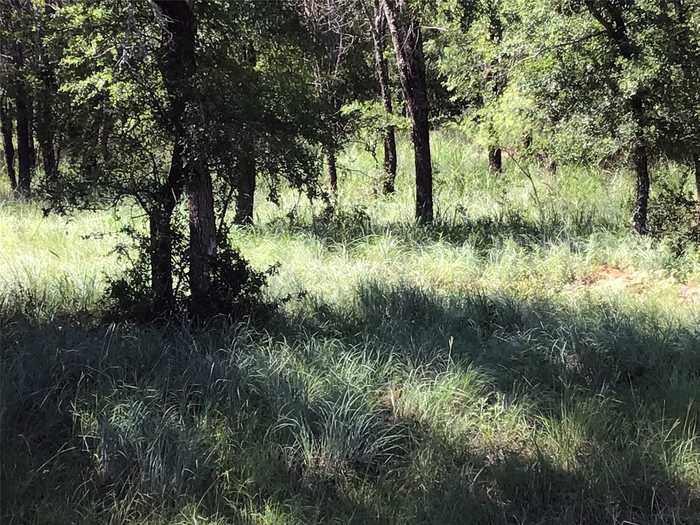 photo 2: Lot 286 Cozy Cove Court, Chico TX 76431