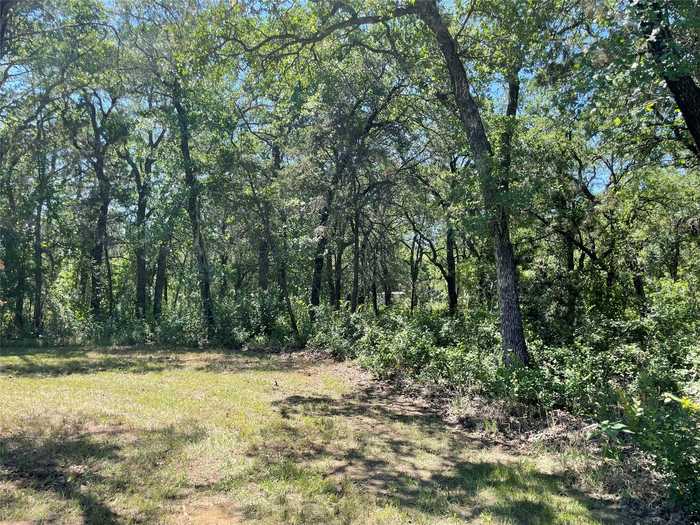 photo 18: 105 Hoover Road, Palo Pinto TX 76484