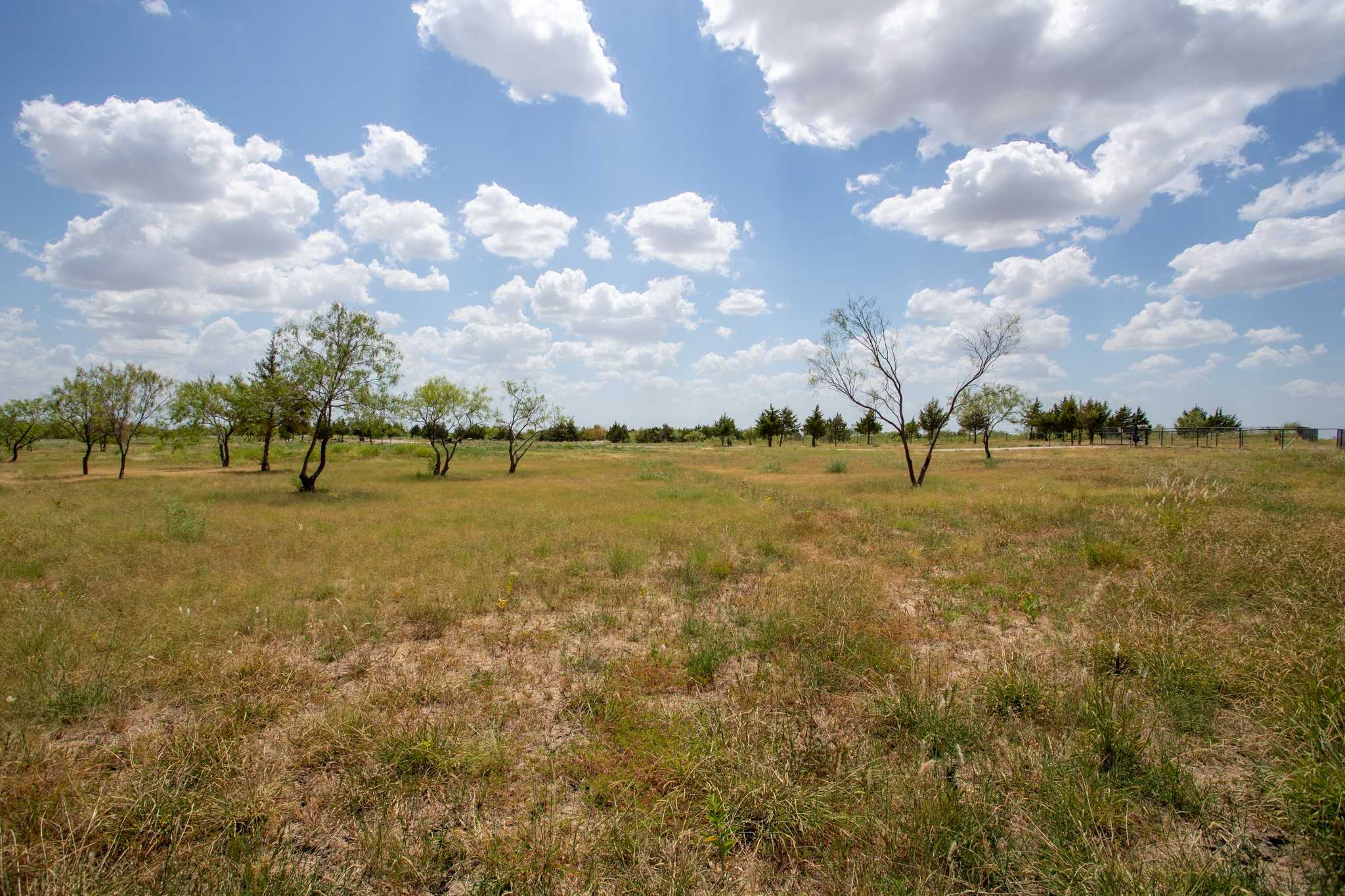 photo 1: 11567 S Fm 548 S, Royse City TX 75189