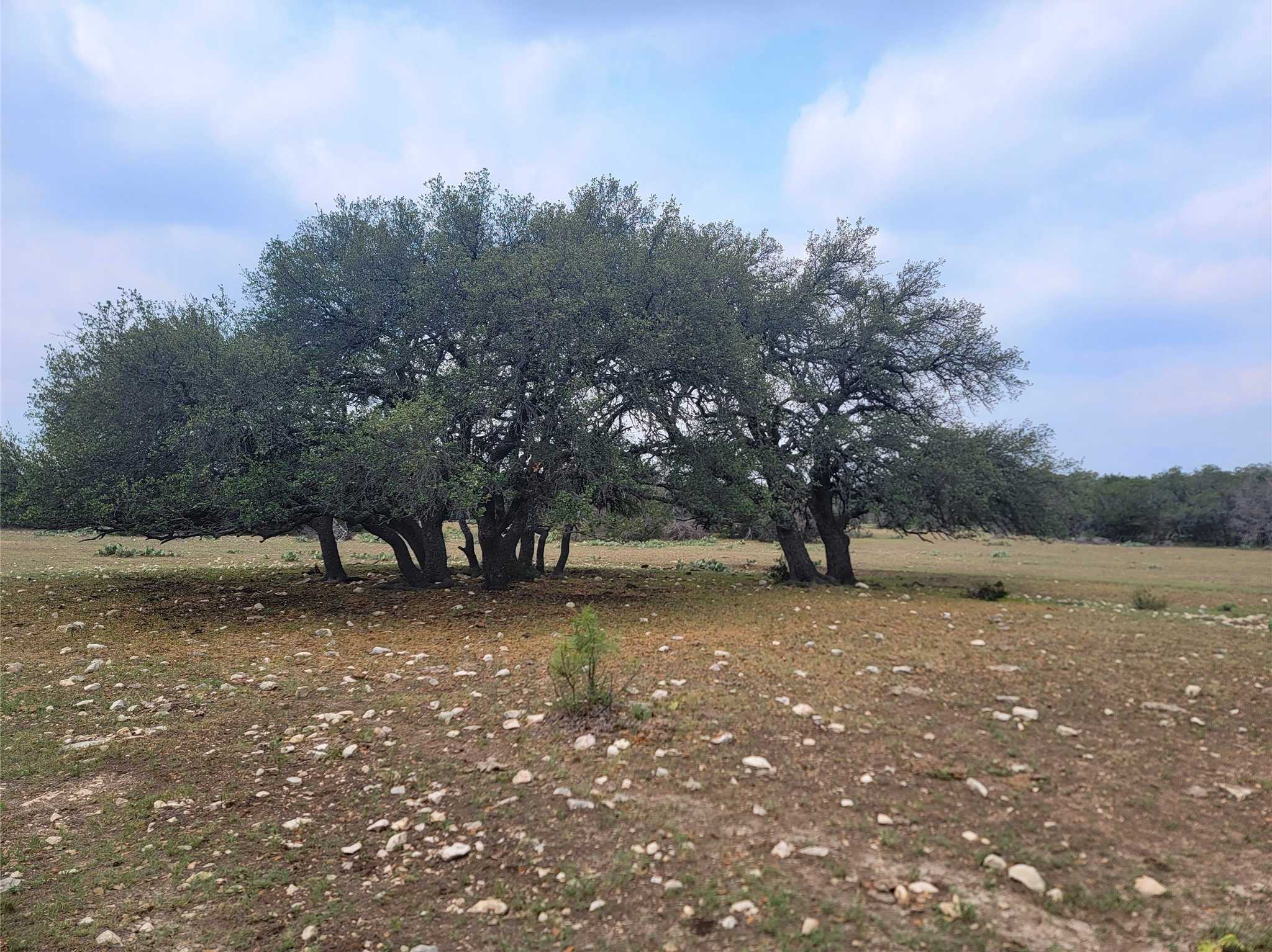 photo 1: Lot 65 Brandon Ranch, No City TX 76936