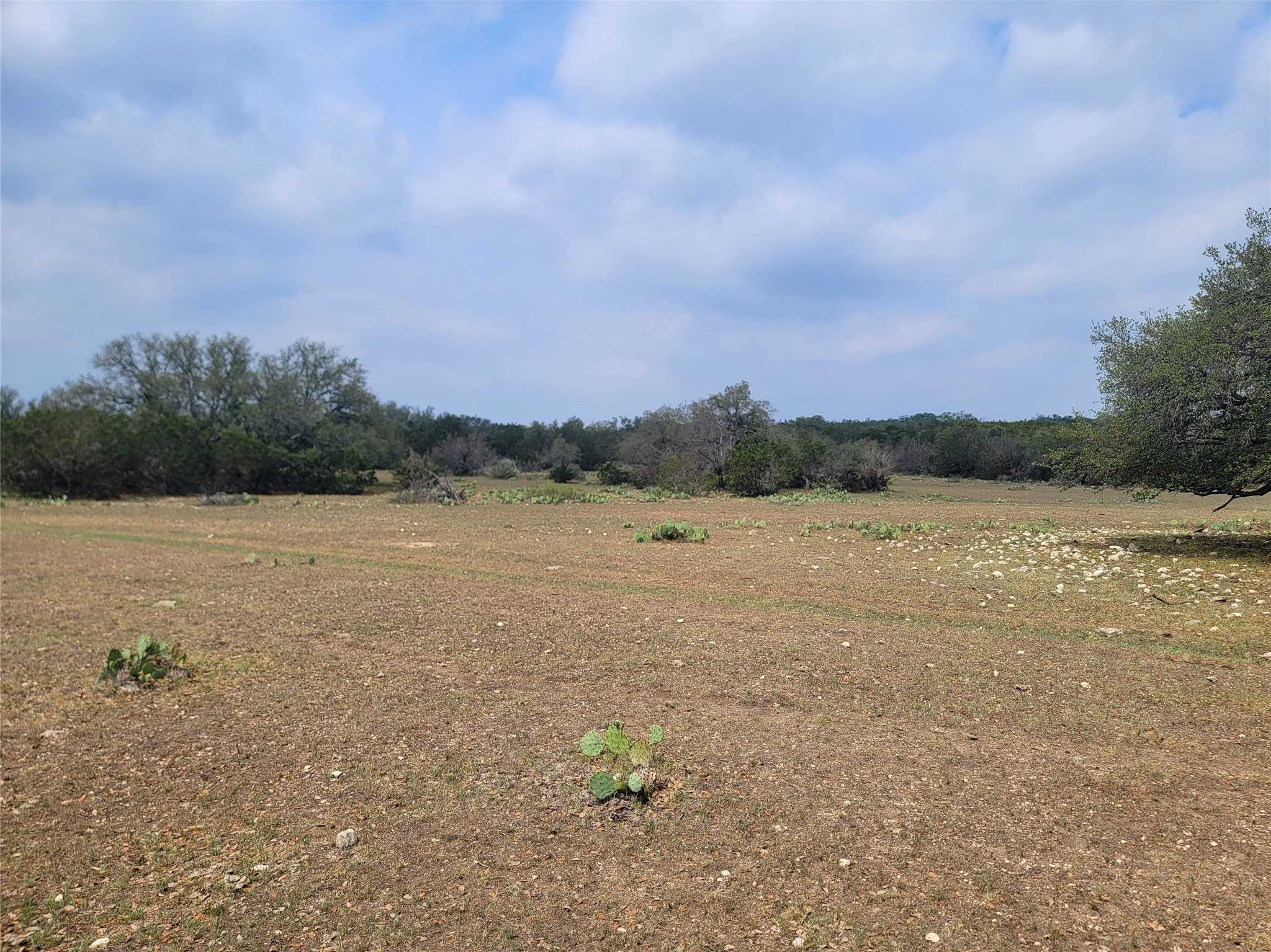 photo 3: Lot 65 Brandon Ranch, No City TX 76936