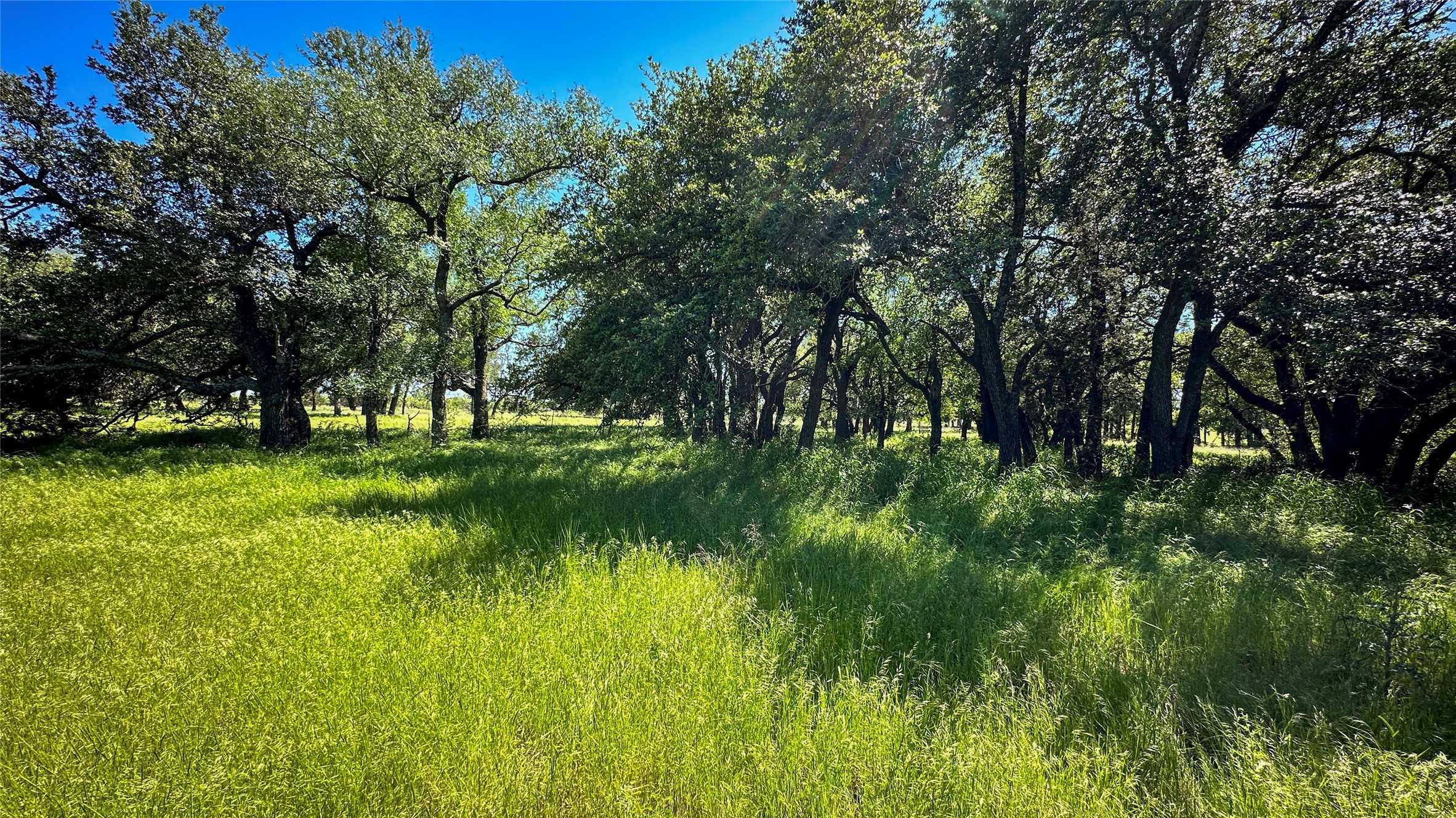 photo 2: TBD 71 Hwy 180, Palo Pinto TX 76484