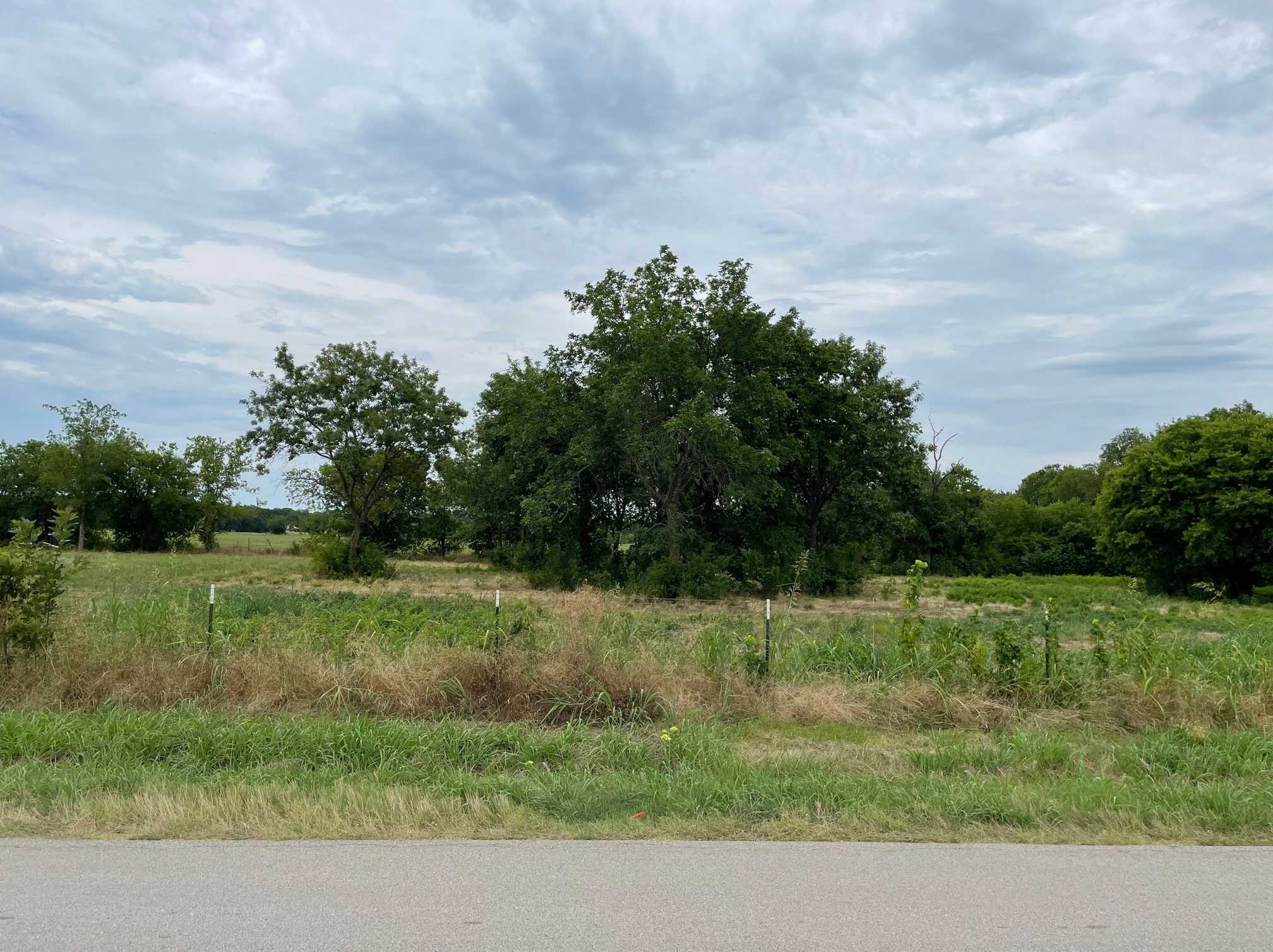 photo 3: Lot 1 TBD League Road, McLendon Chisholm TX 75032