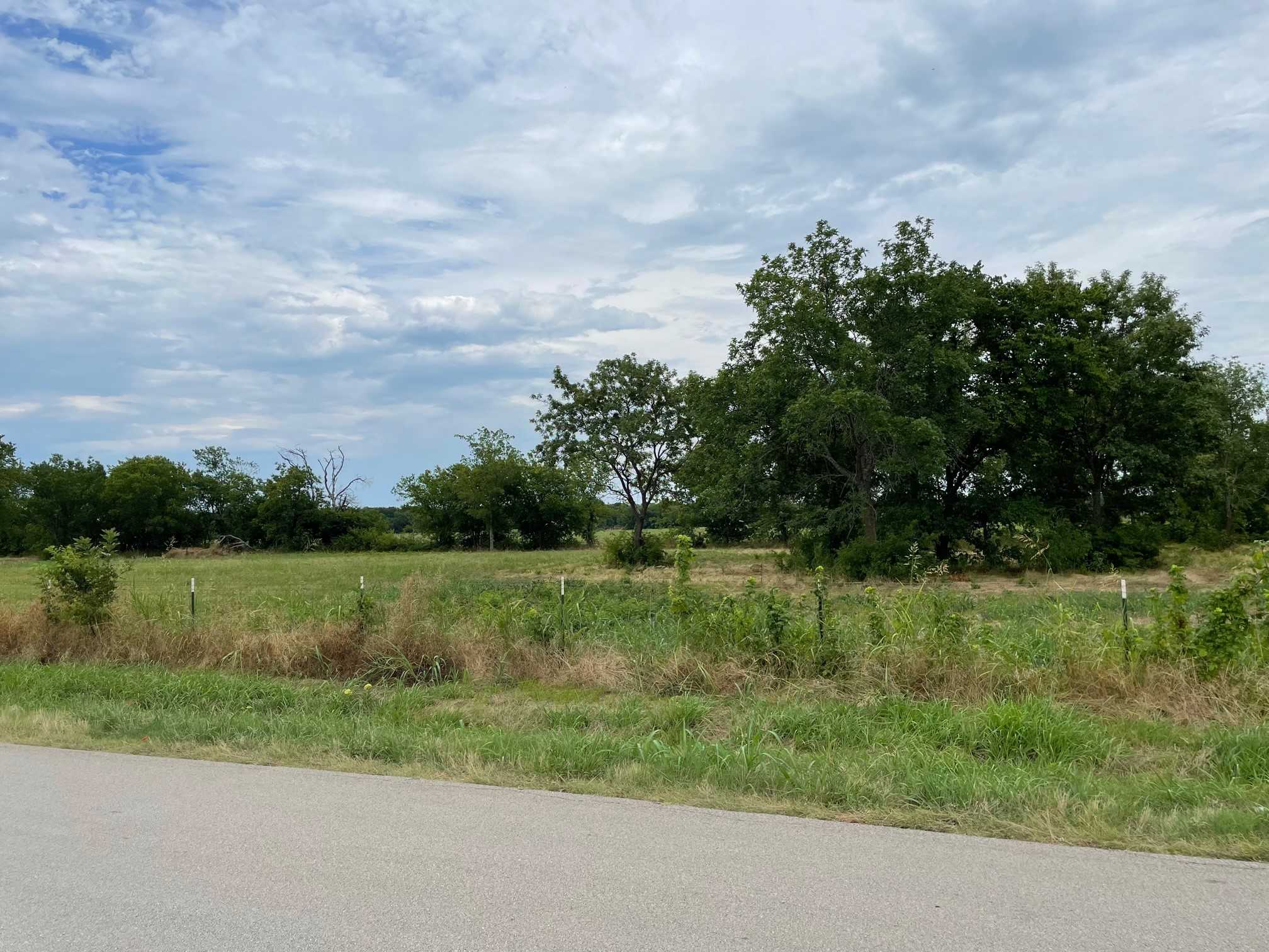 photo 1: Lot 6 TBD League Road, McLendon Chisholm TX 75032