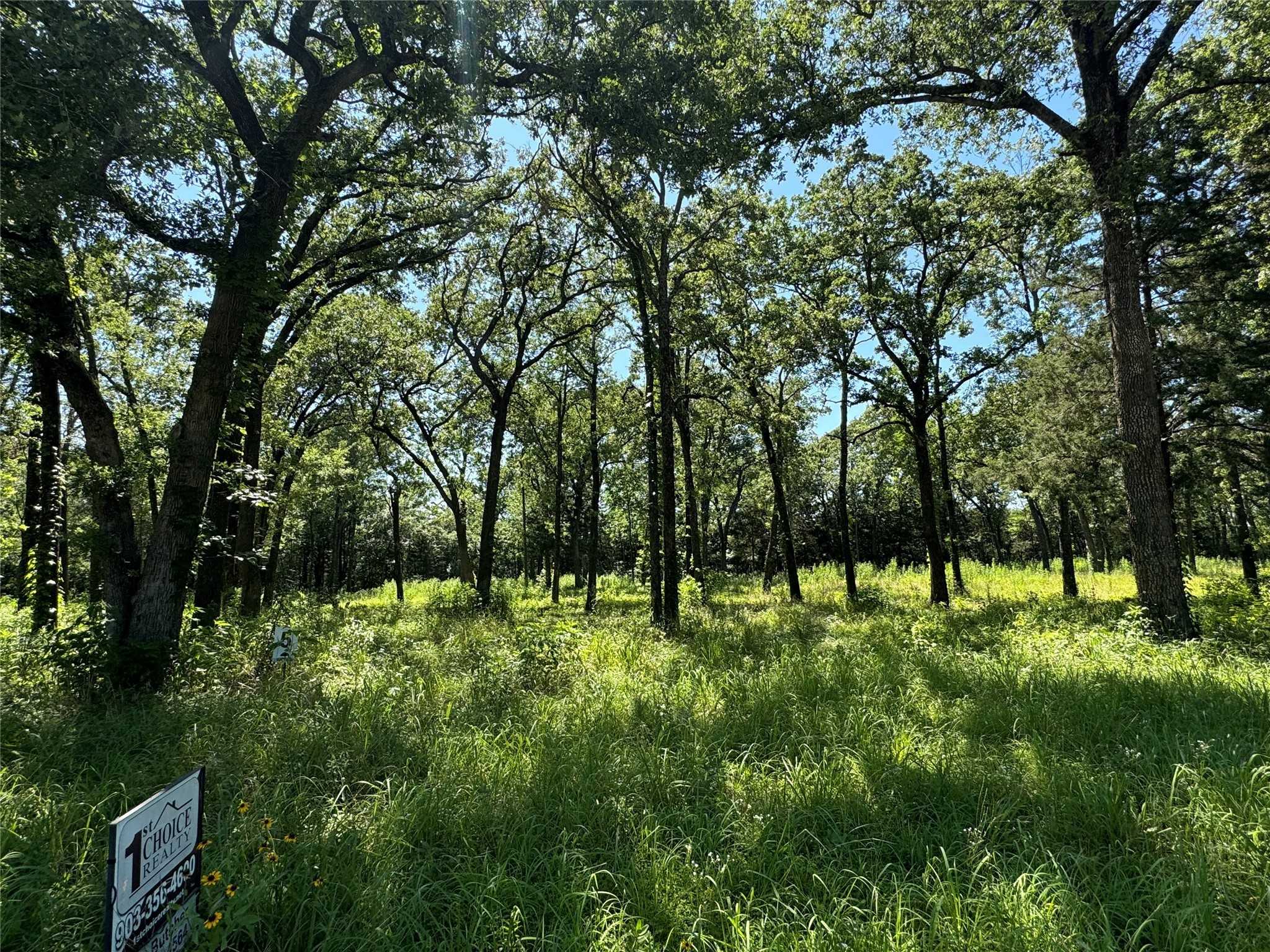 photo 1: TBD Rs County Road 1503, Point TX 75472