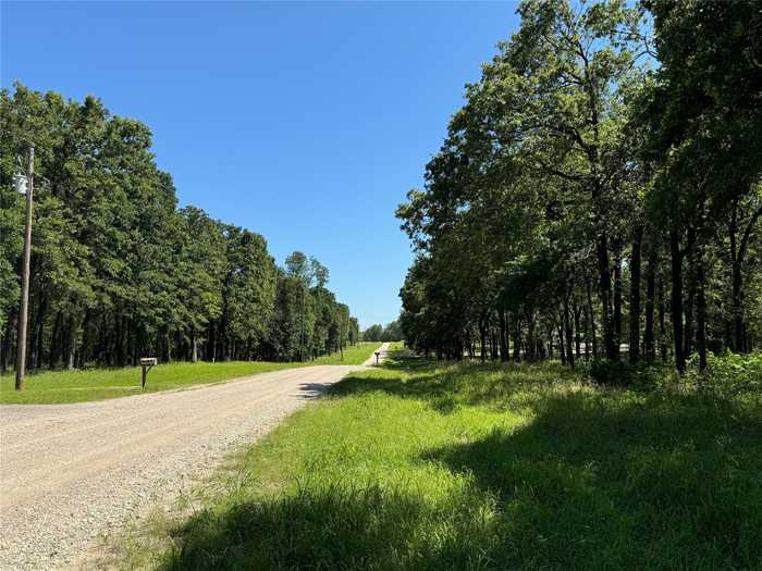 photo 5: TBD Rs County Road 1503, Point TX 75472