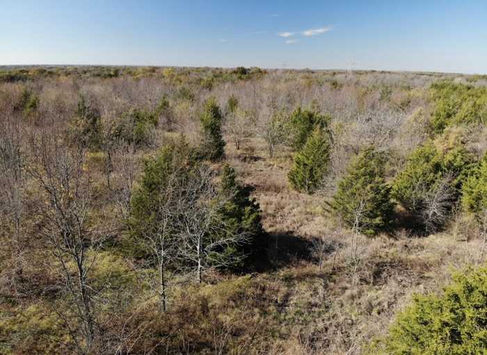 photo 20: Lot 10 FM 1743, Honey Grove TX 75446