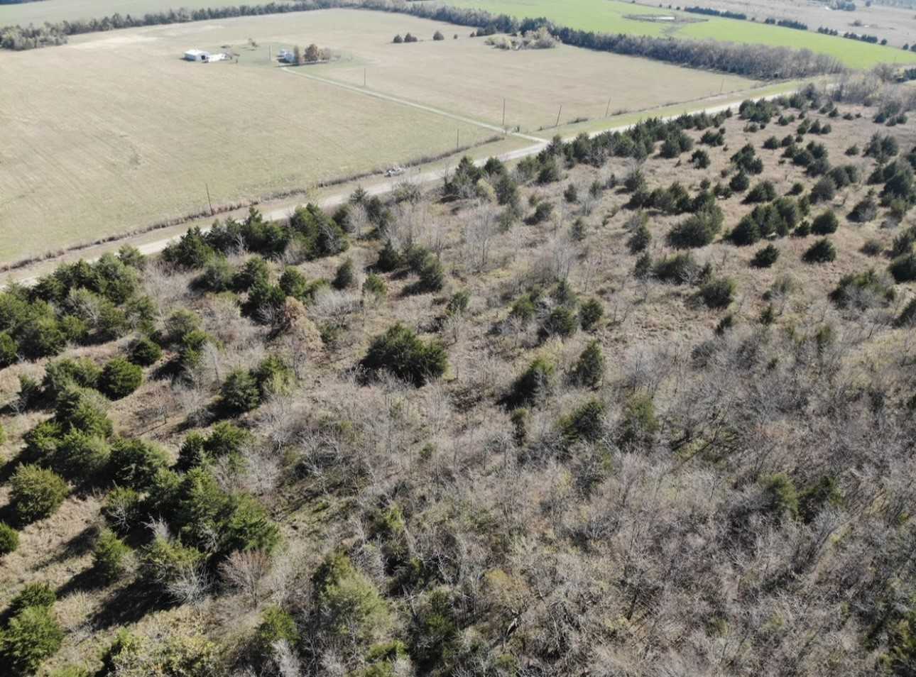 photo 3: Lot 10 FM 1743, Honey Grove TX 75446