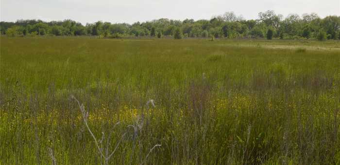 photo 2: TBD CR-4502, Commerce TX 75428