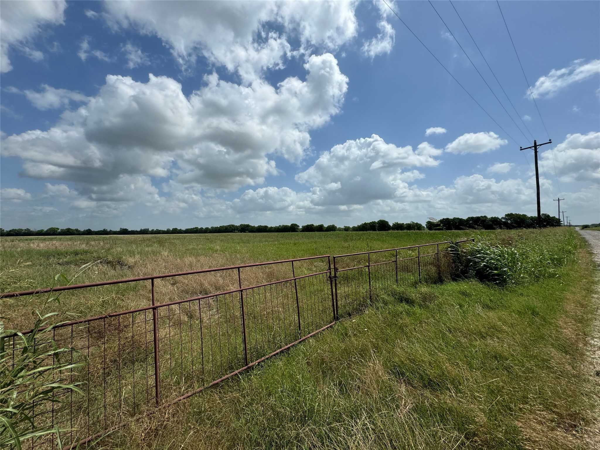 photo 3: tbd county road 3205 Road, Dodd City TX 75438