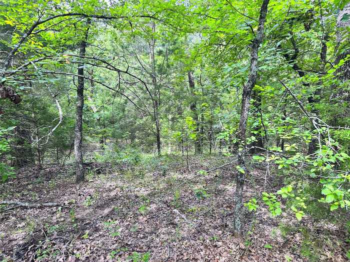 photo 40: Lot 35 & 36 ABC Pelican Point, Streetman TX 75859