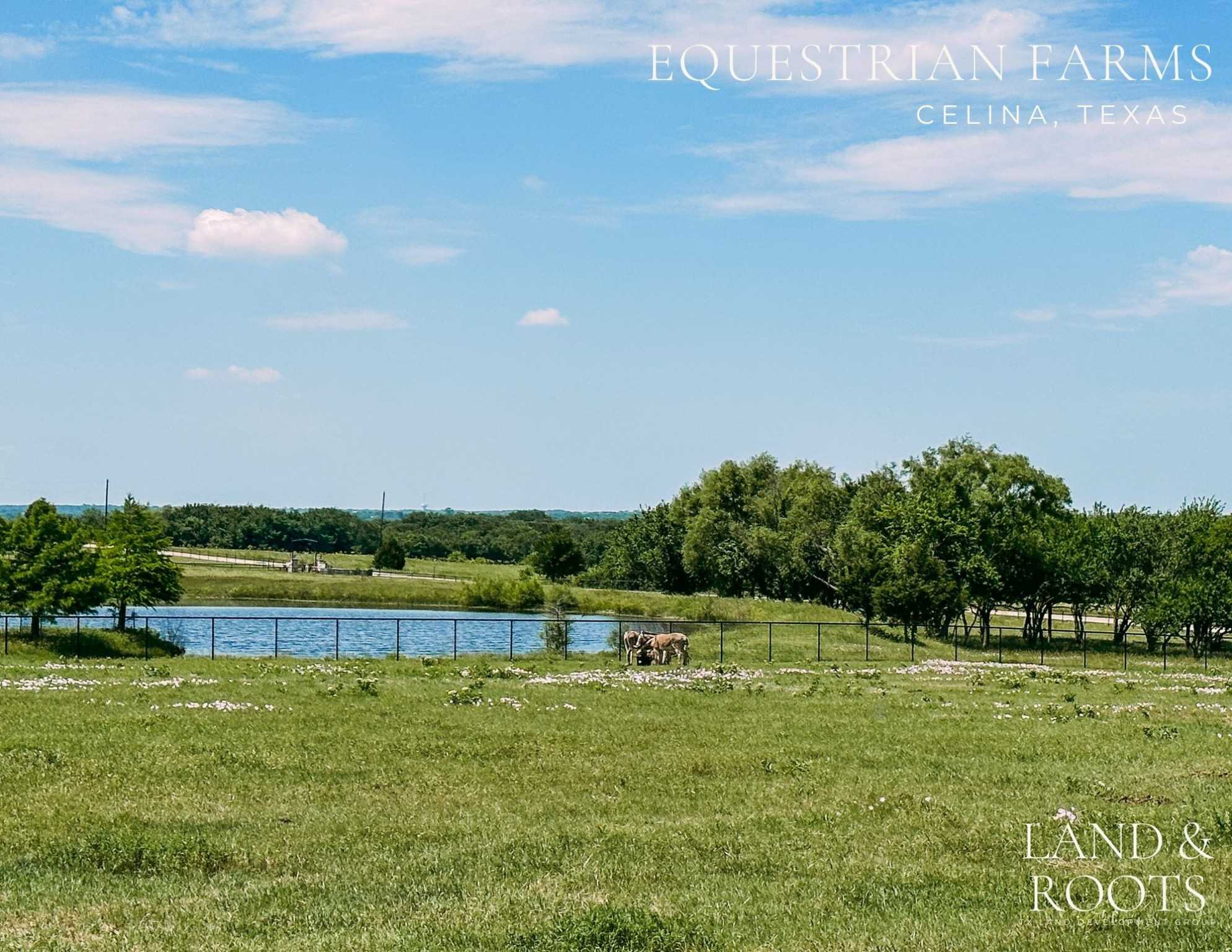 photo 3: TBD-LOT1 County Road 177, Celina TX 75009