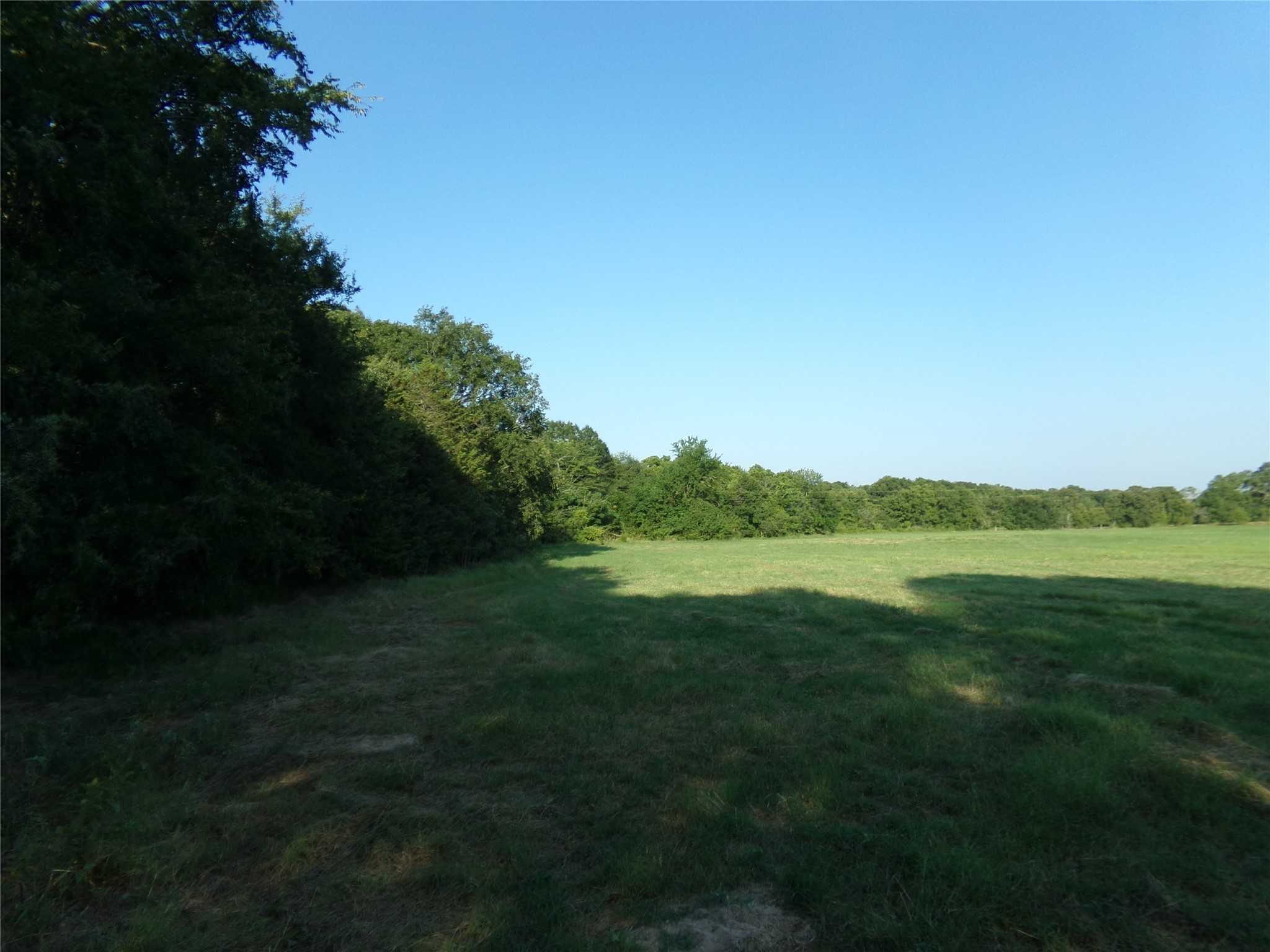 photo 3: TBD COUNTY ROAD 2353 AND 2384, Bagwell TX 75412