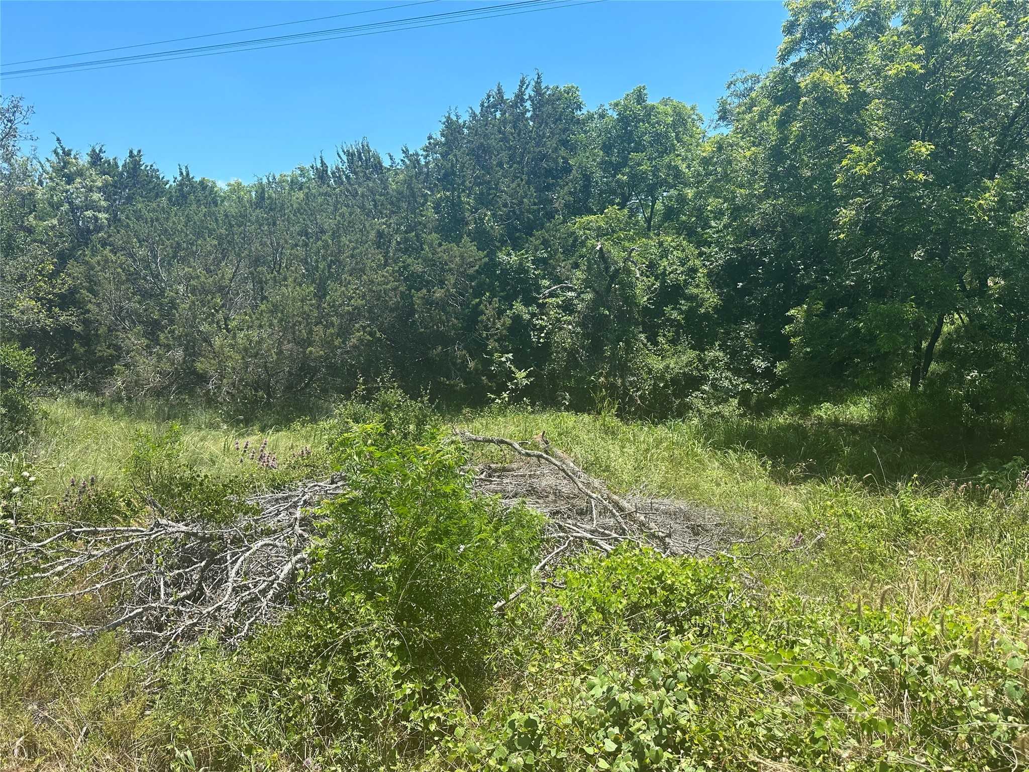 photo 1: TBD Peninsula Dr, Bluff Dale TX 76433