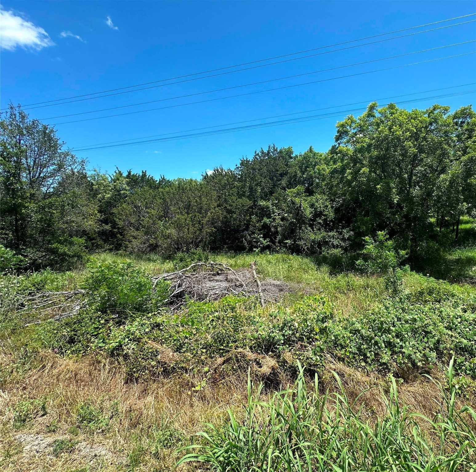 photo 3: TBD Peninsula Dr, Bluff Dale TX 76433